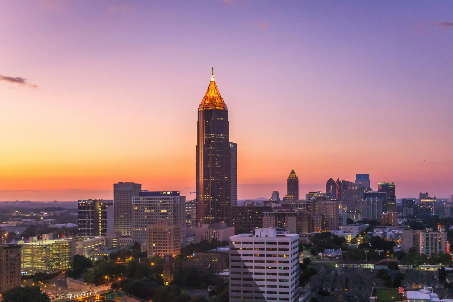 Pest control services in Atlanta, GA