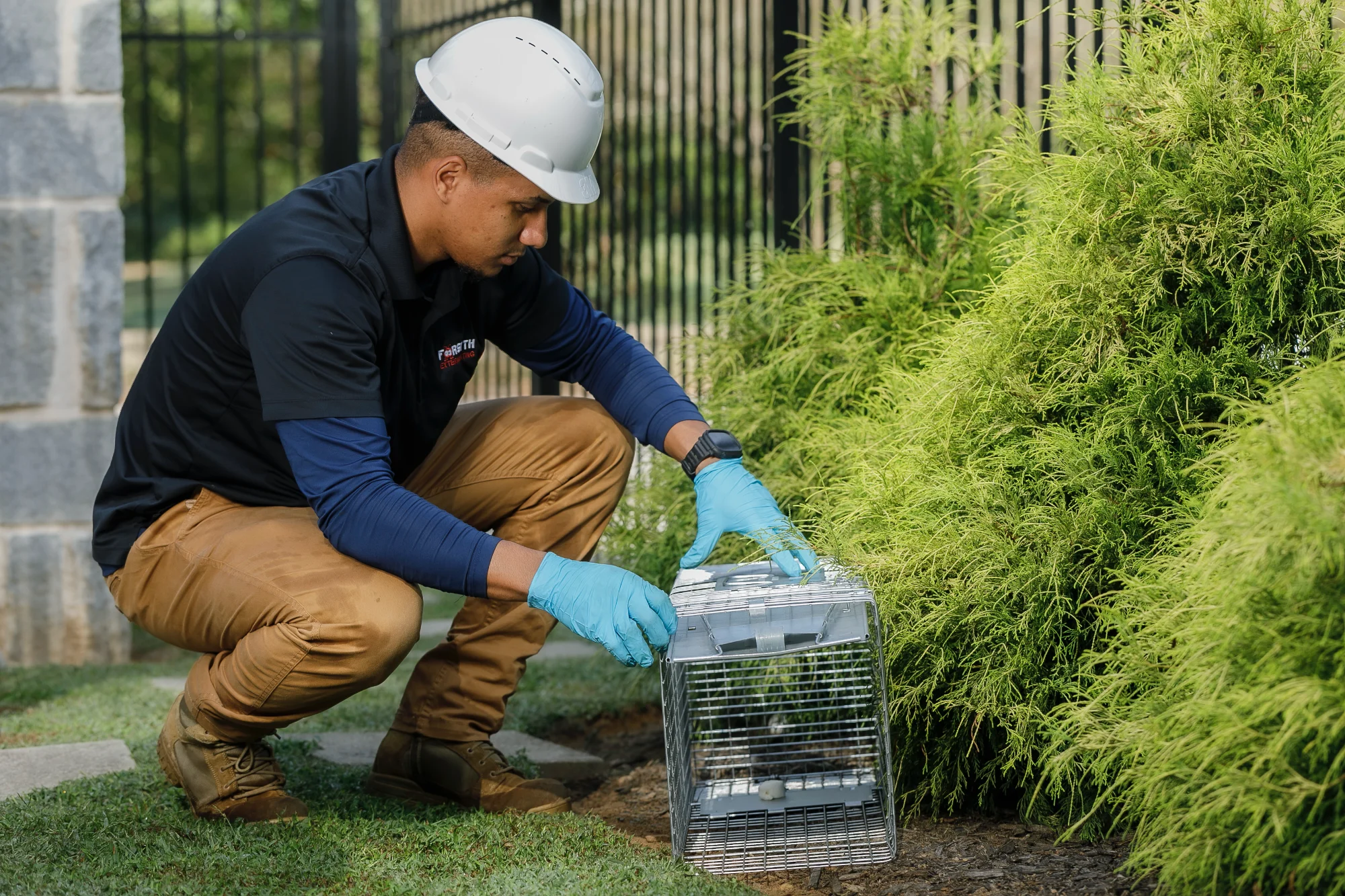 Humane wildlife trapping by Forsyth Exterminating in Cumming, GA