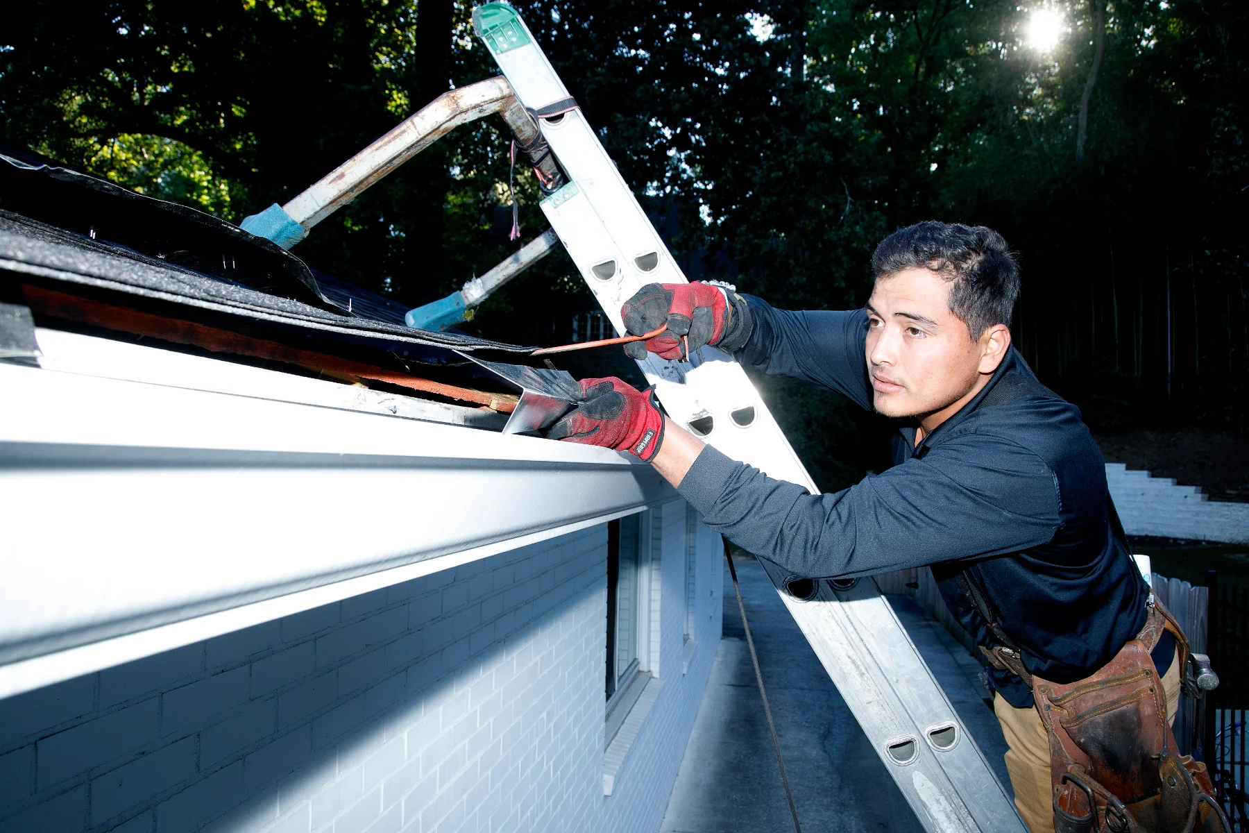 Animal exclusion sealing work in Forsyth County, GA